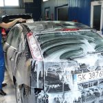 bg07 free img 150x150.jpg